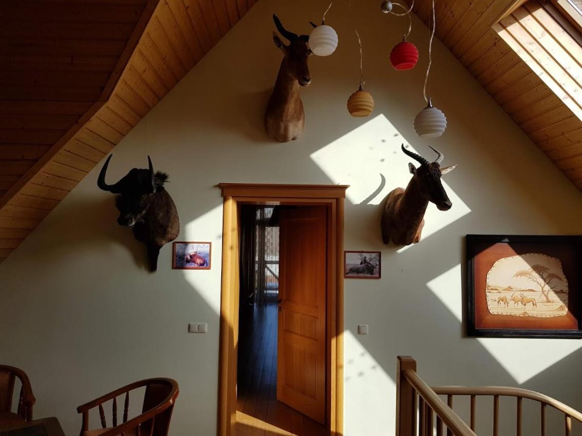 Apartamentai Hunter House 드루스키닝카이 외부 사진