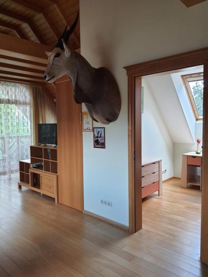 Apartamentai Hunter House 드루스키닝카이 외부 사진