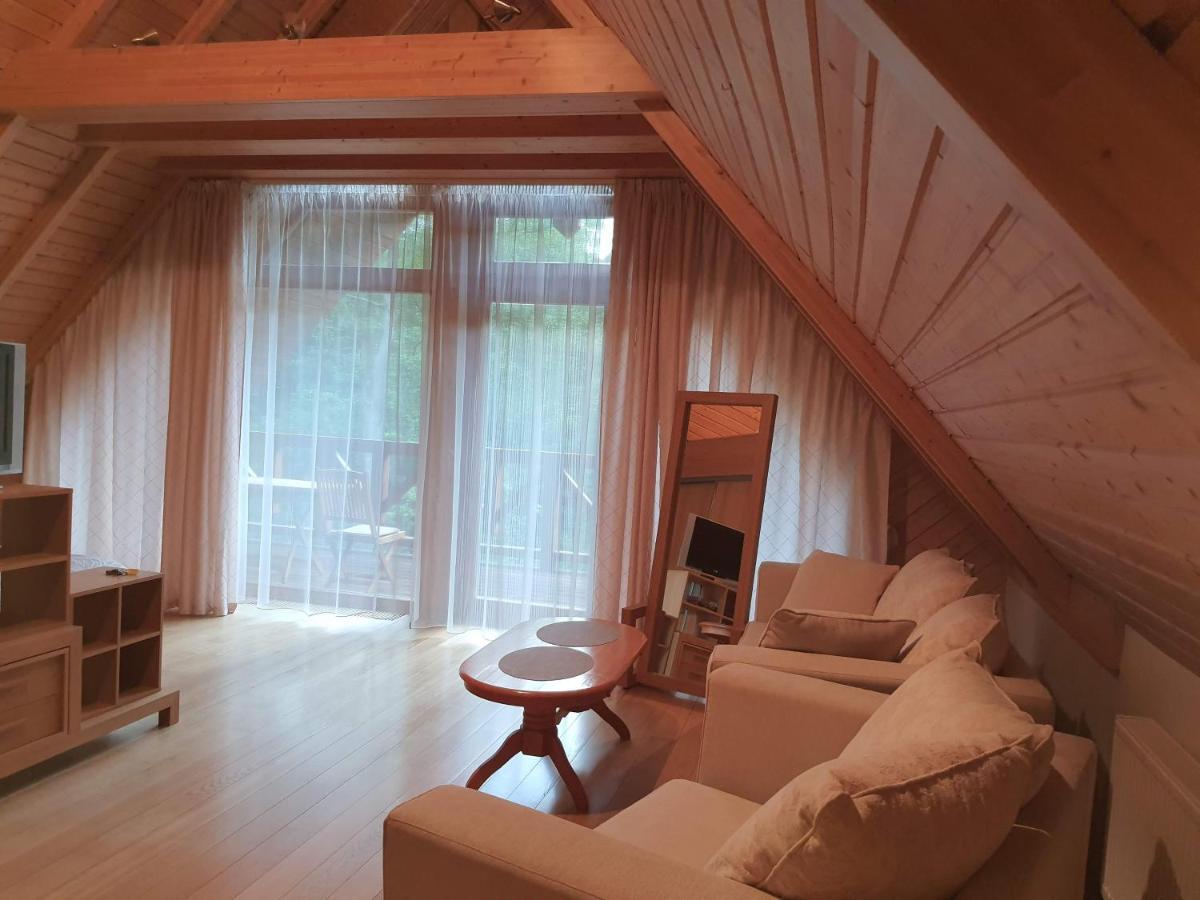 Apartamentai Hunter House 드루스키닝카이 외부 사진