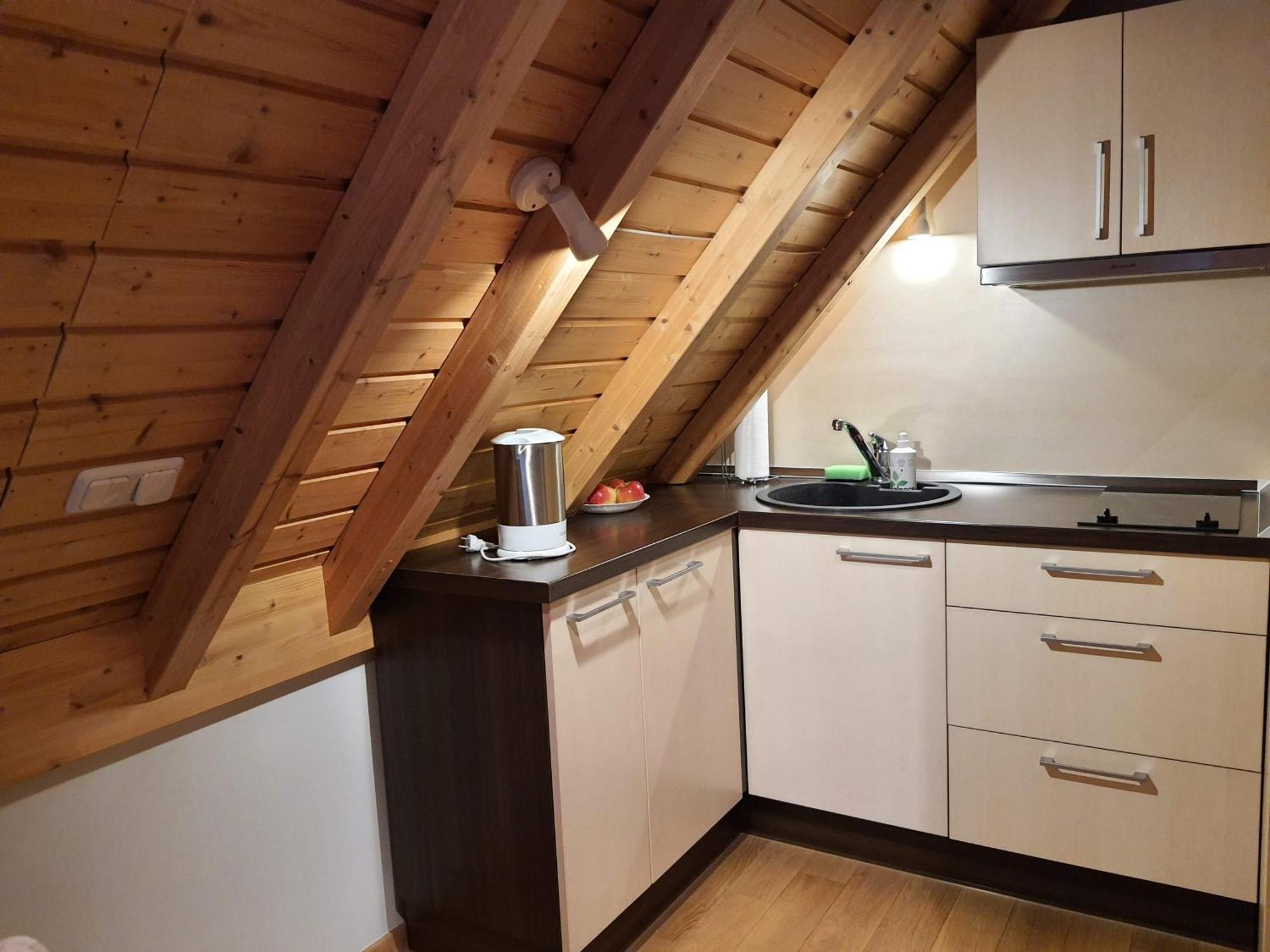 Apartamentai Hunter House 드루스키닝카이 객실 사진